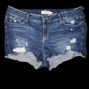 Torrid shorts